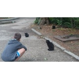 Дикая фауна - 12.jpg Дикая фауна - 12.jpg